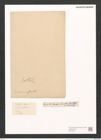 Surirella macraeana Grev. (de-Toni-Nr.: Genus 53, Species 2297) Zeichnungen Sammlung Grunow (NHMW-BOT-W0372855)